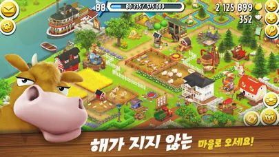 헤이데이